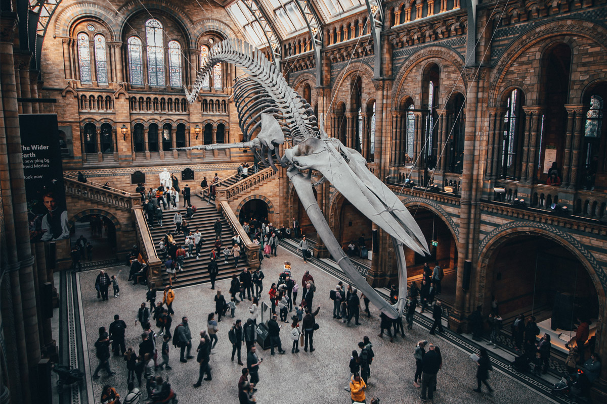 Integrate clicks-and-mortar methodologies